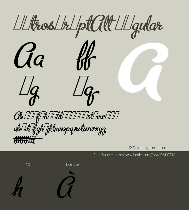 MetroScriptAlt Regular 1.000;com.myfonts.easy.alphabetsoup.metroscript.alt.wfkit2.version.32hH图片样张