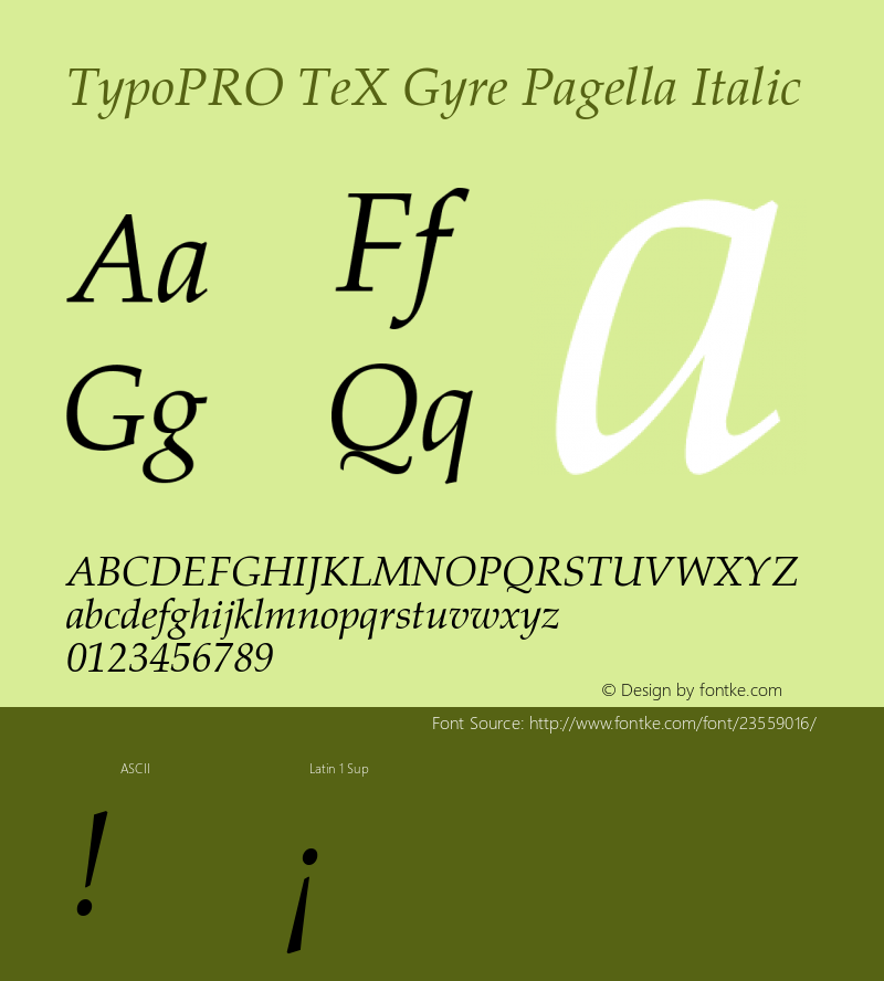 TypoPRO TeXGyrePagella-Italic Version 2.004;PS 2.004;hotconv 1.0.49;makeotf.lib2.0.14853图片样张