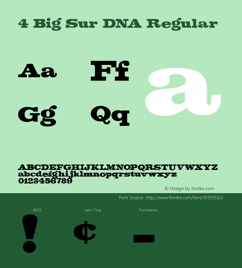 4 Big Sur DNA Regular Macromedia Fontographer 4.1 11/21/99图片样张