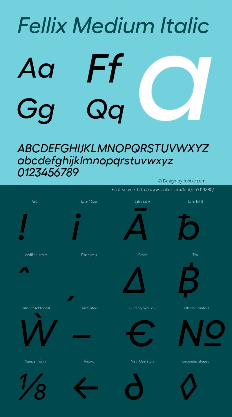 Fellix Medium Italic Version 3.000;Glyphs 3.1.1 (3137)图片样张