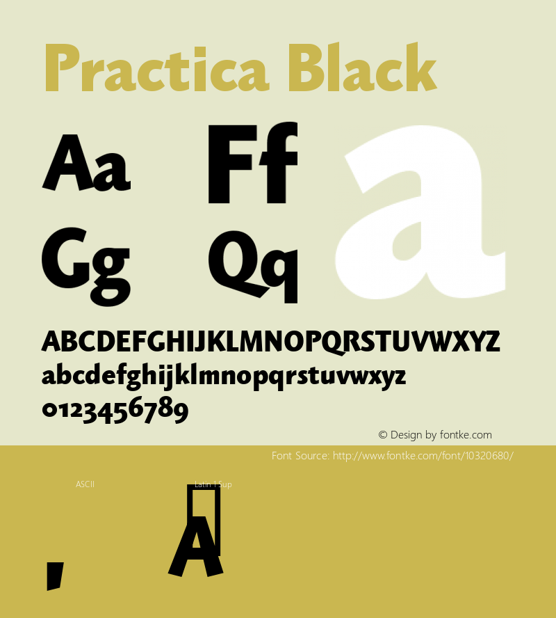 Practica Black Macromedia Fontographer 4.1J 06/08/2006图片样张