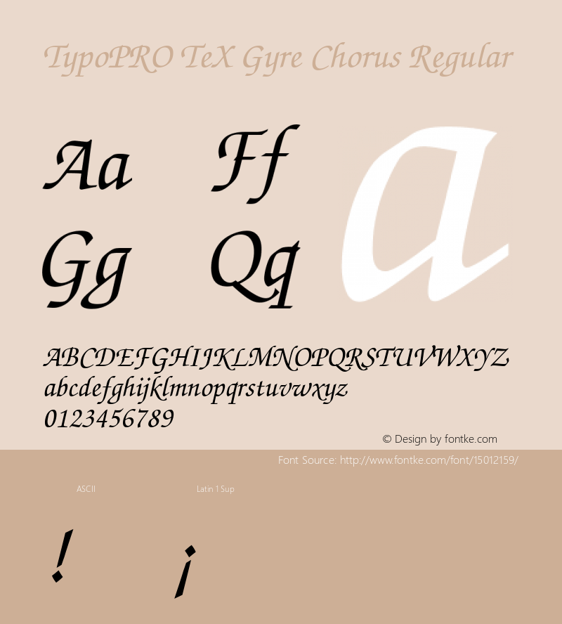 TypoPRO TeX Gyre Chorus Regular Version 2.003;PS 2.003;hotconv 1.0.49;makeotf.lib2.0.14853图片样张