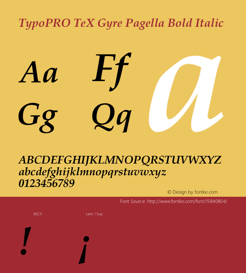 TypoPRO TeX Gyre Pagella Bold Italic Version 2.004;PS 2.004;hotconv 1.0.49;makeotf.lib2.0.14853图片样张