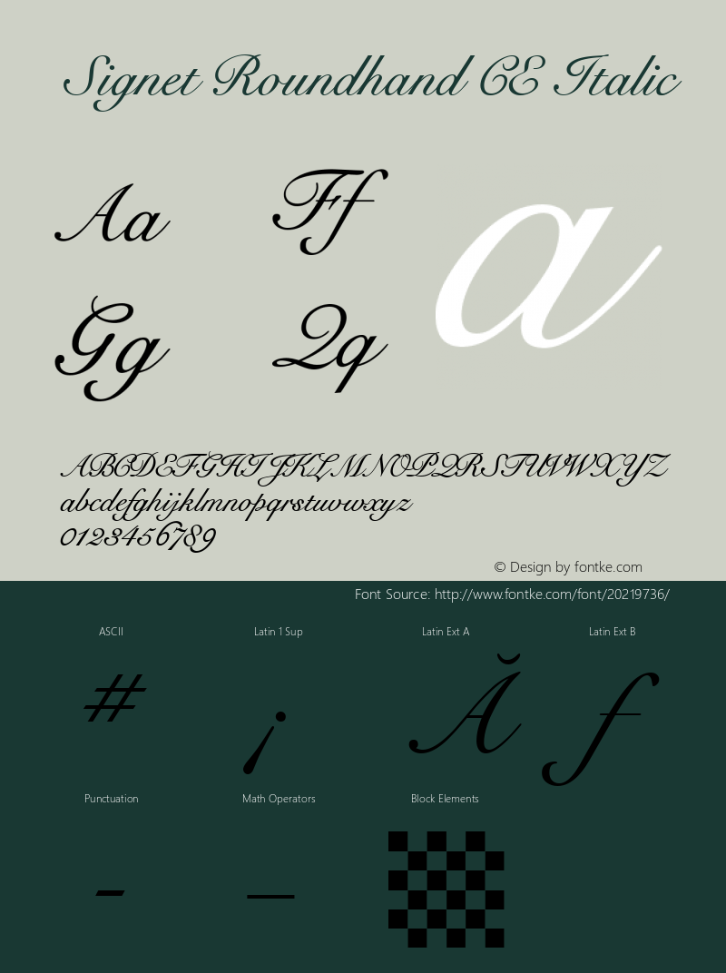 Signet Roundhand CE Italic Version 1.0: Latin 1, 2 & 5.图片样张