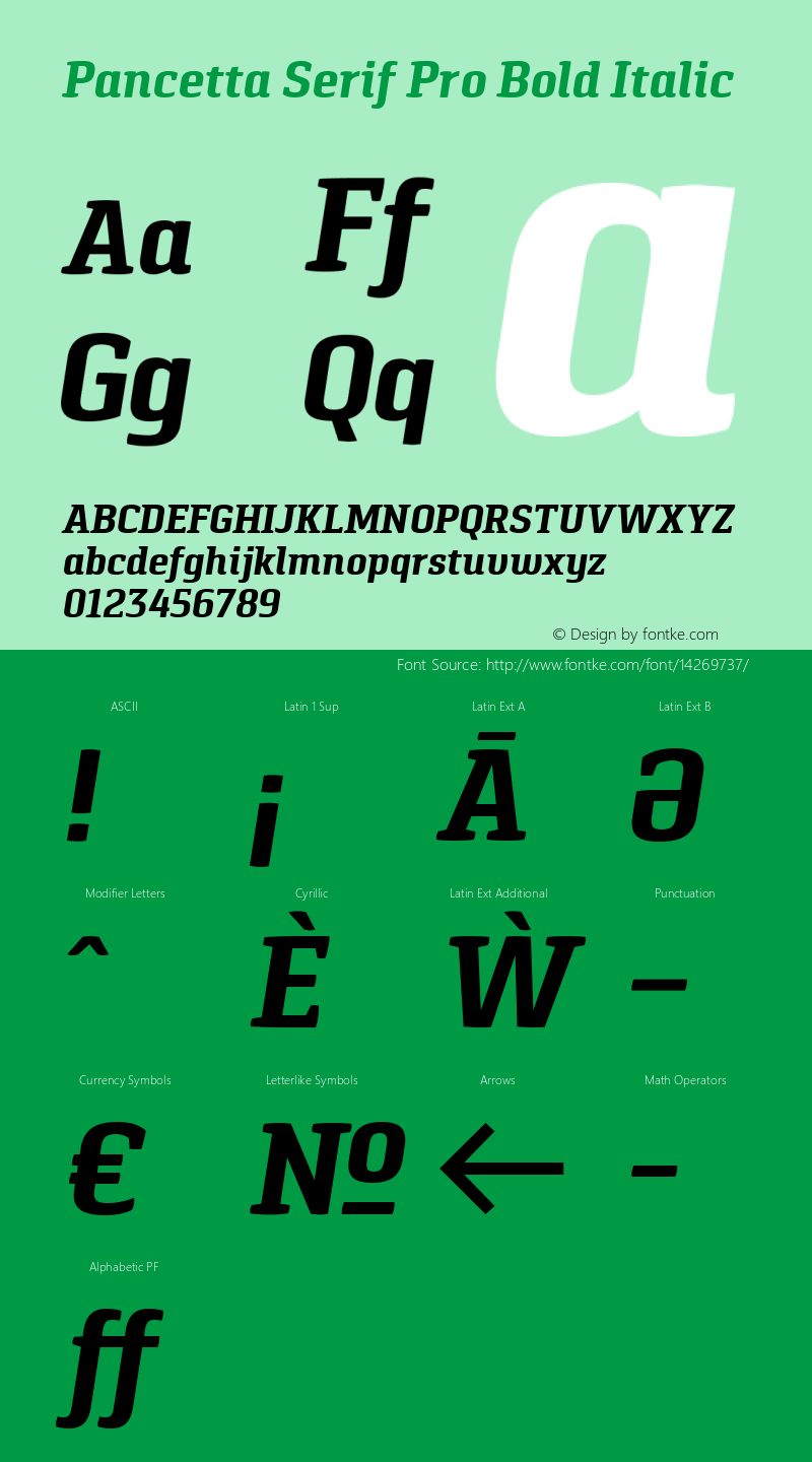 Pancetta Serif Pro Bold Italic Version 1.000图片样张