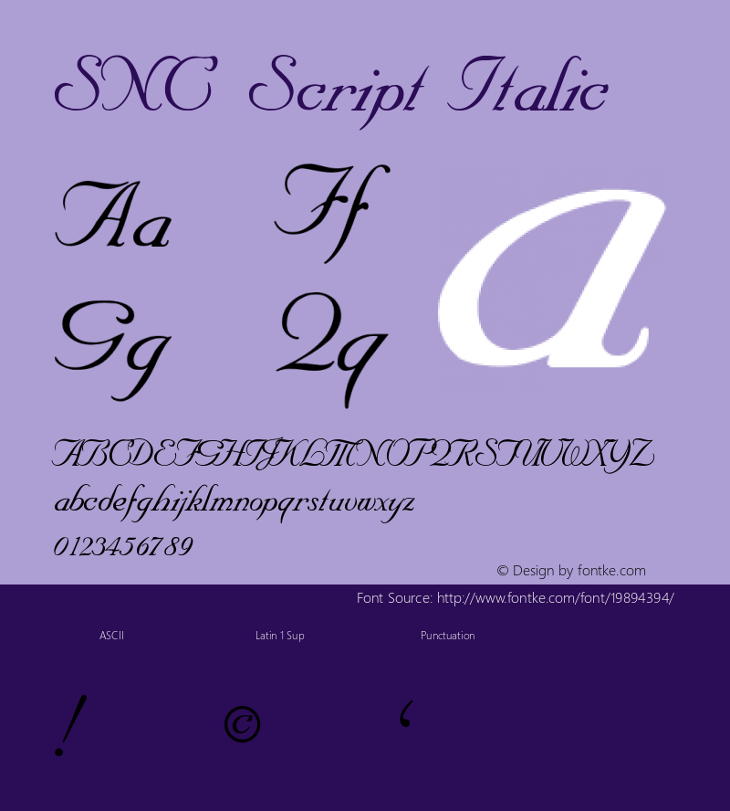 SNC Script Italic 1.02图片样张