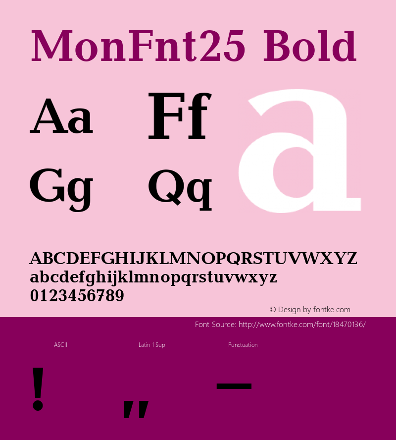 MonFnt25 Bold Version 1.0图片样张