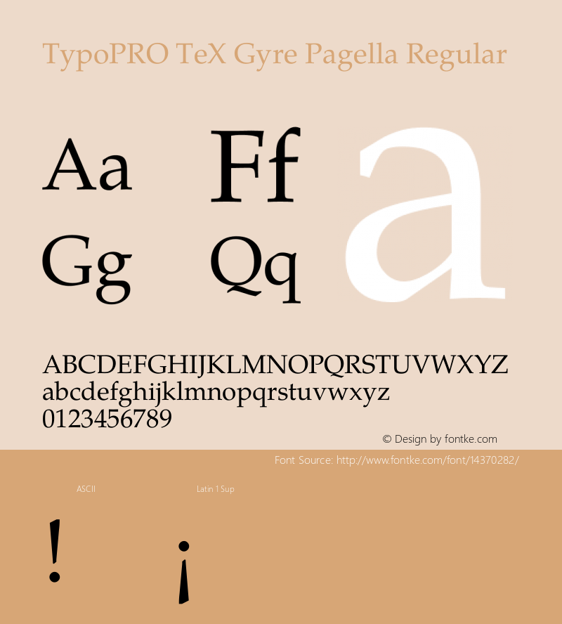 TypoPRO TeX Gyre Pagella Regular Version 2.004;PS 2.004;hotconv 1.0.49;makeotf.lib2.0.14853图片样张