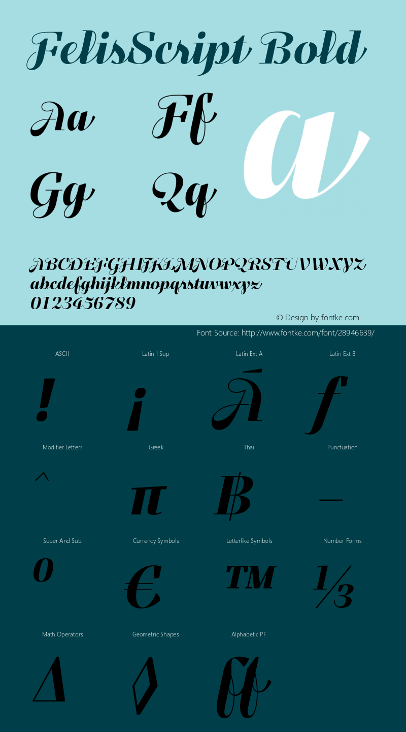 FelisScript-Bold Version 1.000;com.myfonts.easy.typomancer.felis-script.bold.wfkit2.version.4mf7图片样张