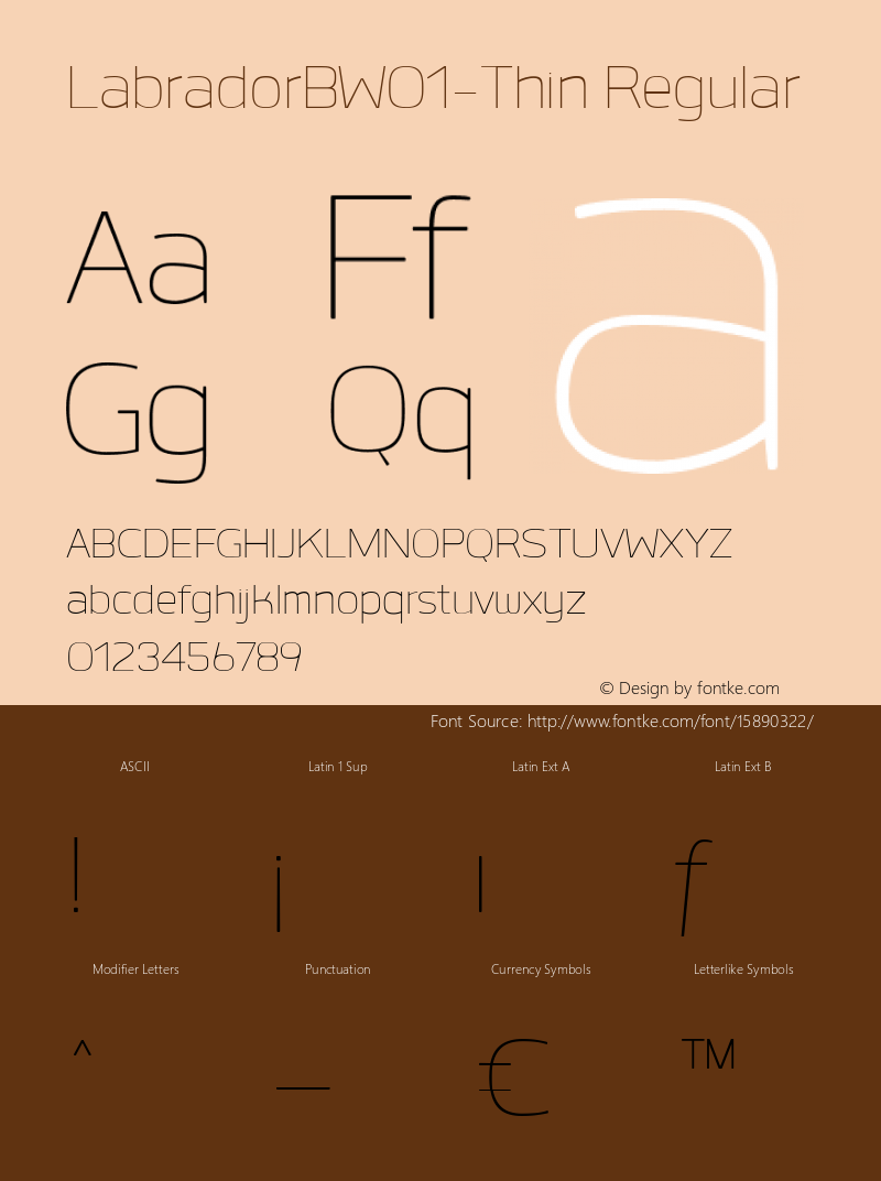 LabradorBW01-Thin Regular Version 1.00图片样张
