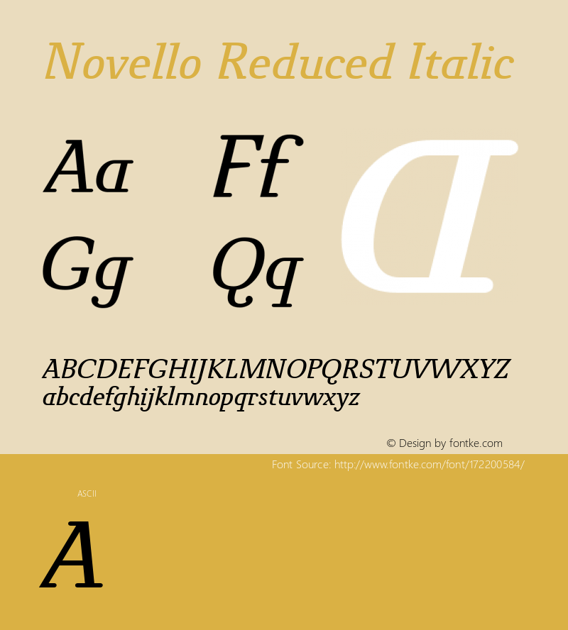 NovelloReduced-Italic Version 1.009图片样张