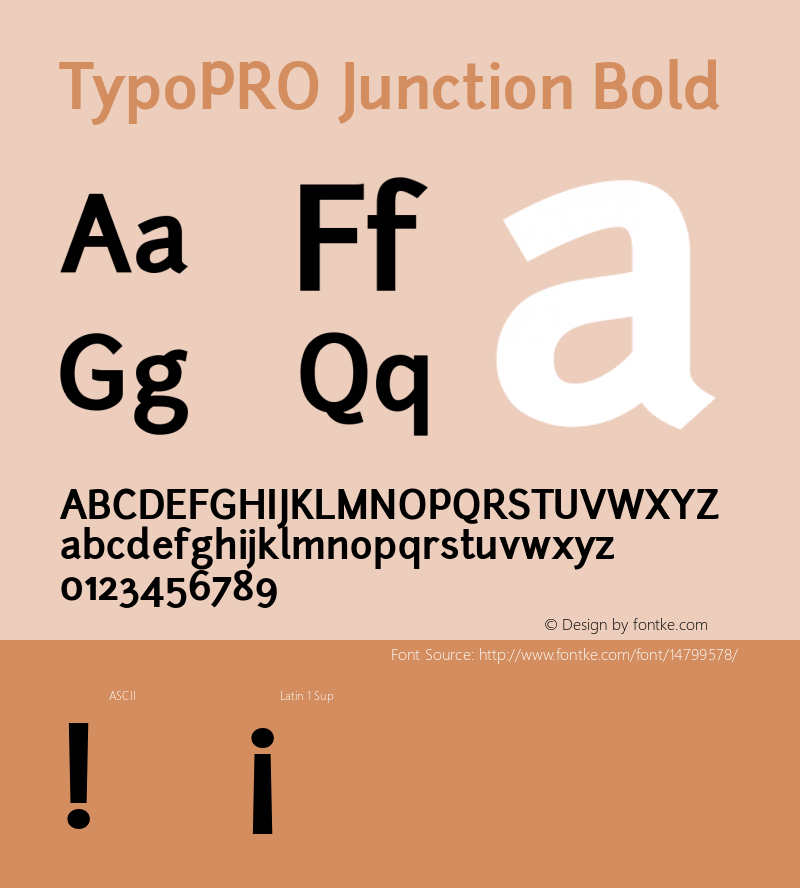 TypoPRO Junction Bold Version 001.001图片样张