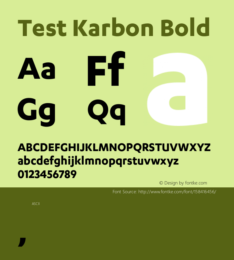 Test Karbon-Bold Version 1.0图片样张