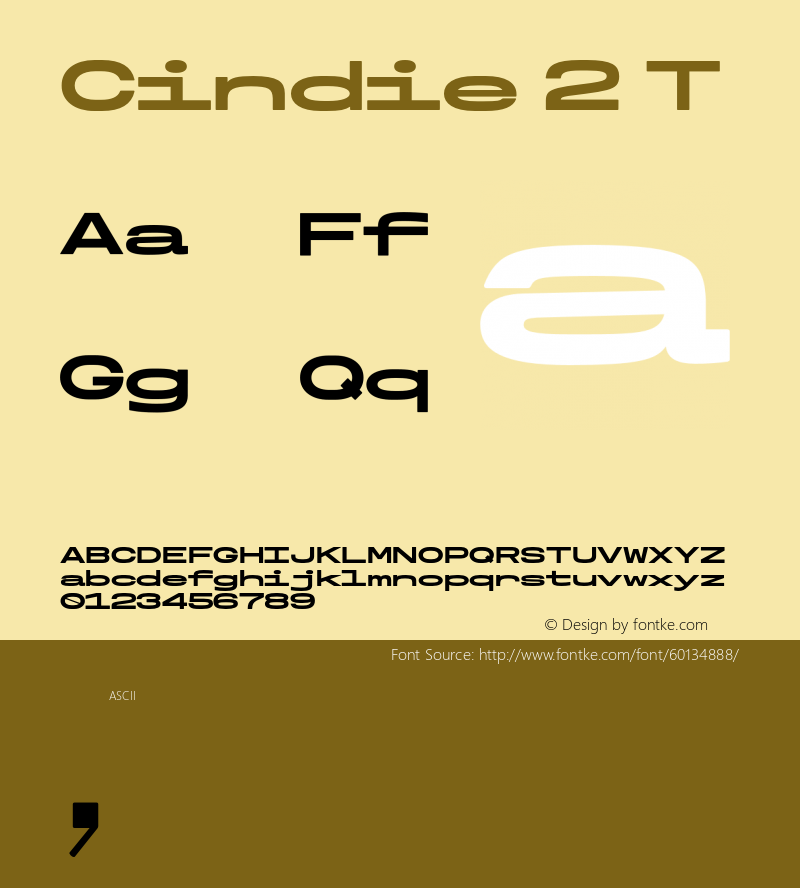 Cindie2-T Version 1.000图片样张