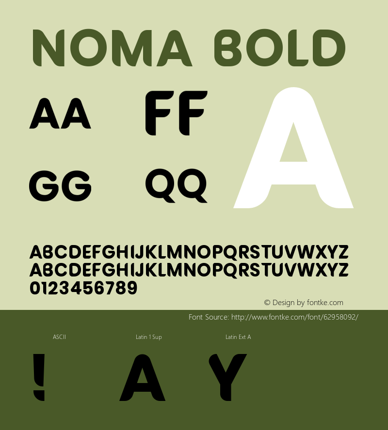 NOMA Bold Version 1.002;Fontself Maker 3.5.1图片样张