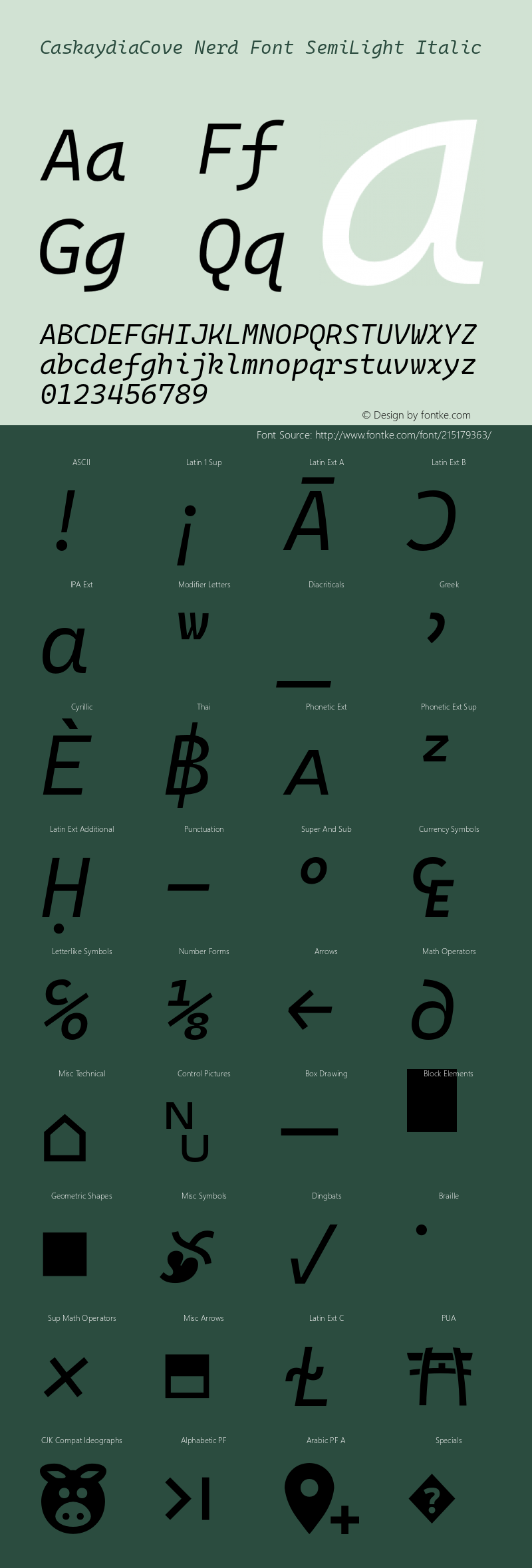 Caskaydia Cove SemiLight Italic Nerd Font Complete Version 2111.1;Nerd Fonts 2.1.0图片样张