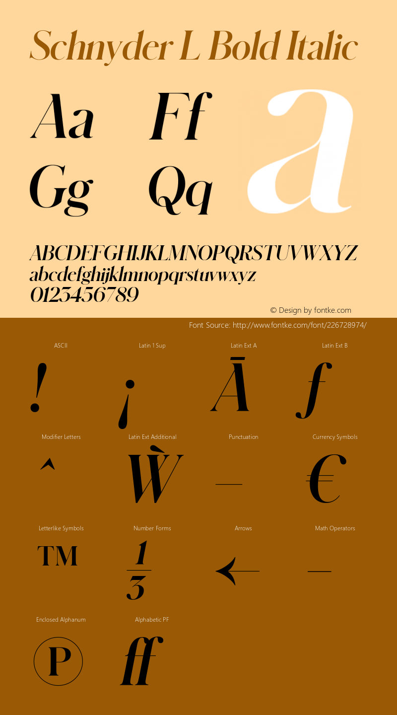 Schnyder L Bold Italic Version 1.001 2018图片样张