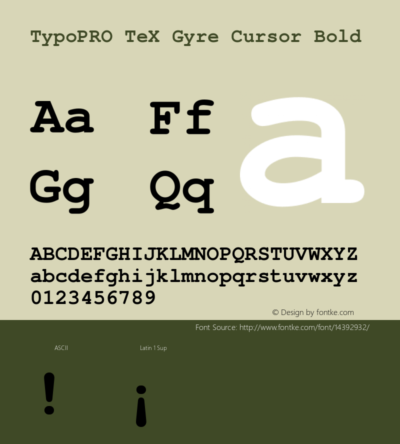 TypoPRO TeX Gyre Cursor Bold Version 2.004;PS 2.004;hotconv 1.0.49;makeotf.lib2.0.14853图片样张