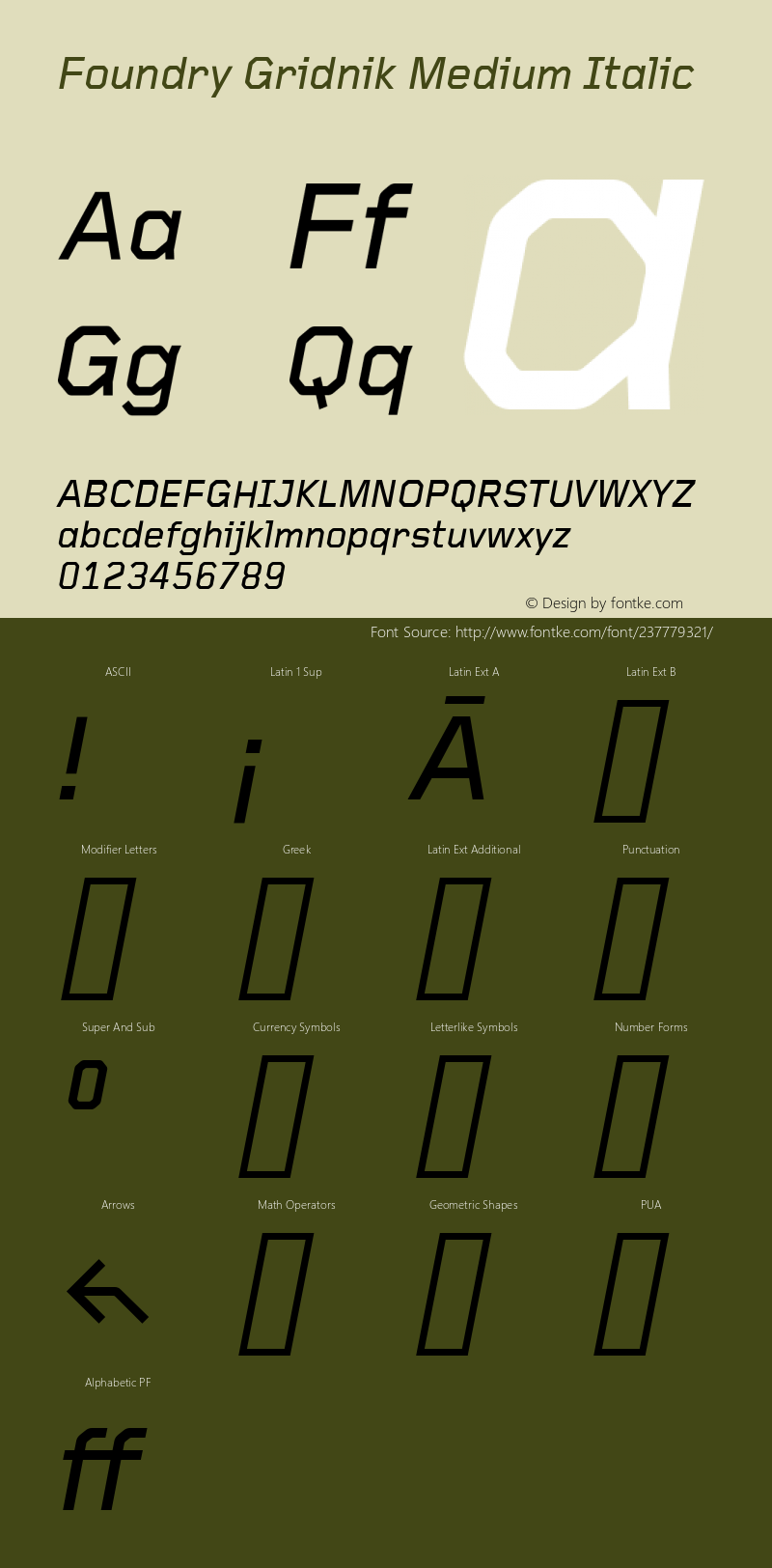 Foundry Gridnik Medium Italic Version 1.000图片样张