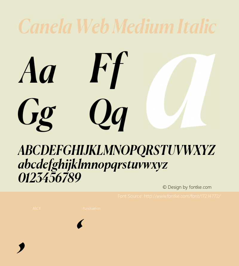 Canela Web Medium Italic Version 1.1 2016图片样张