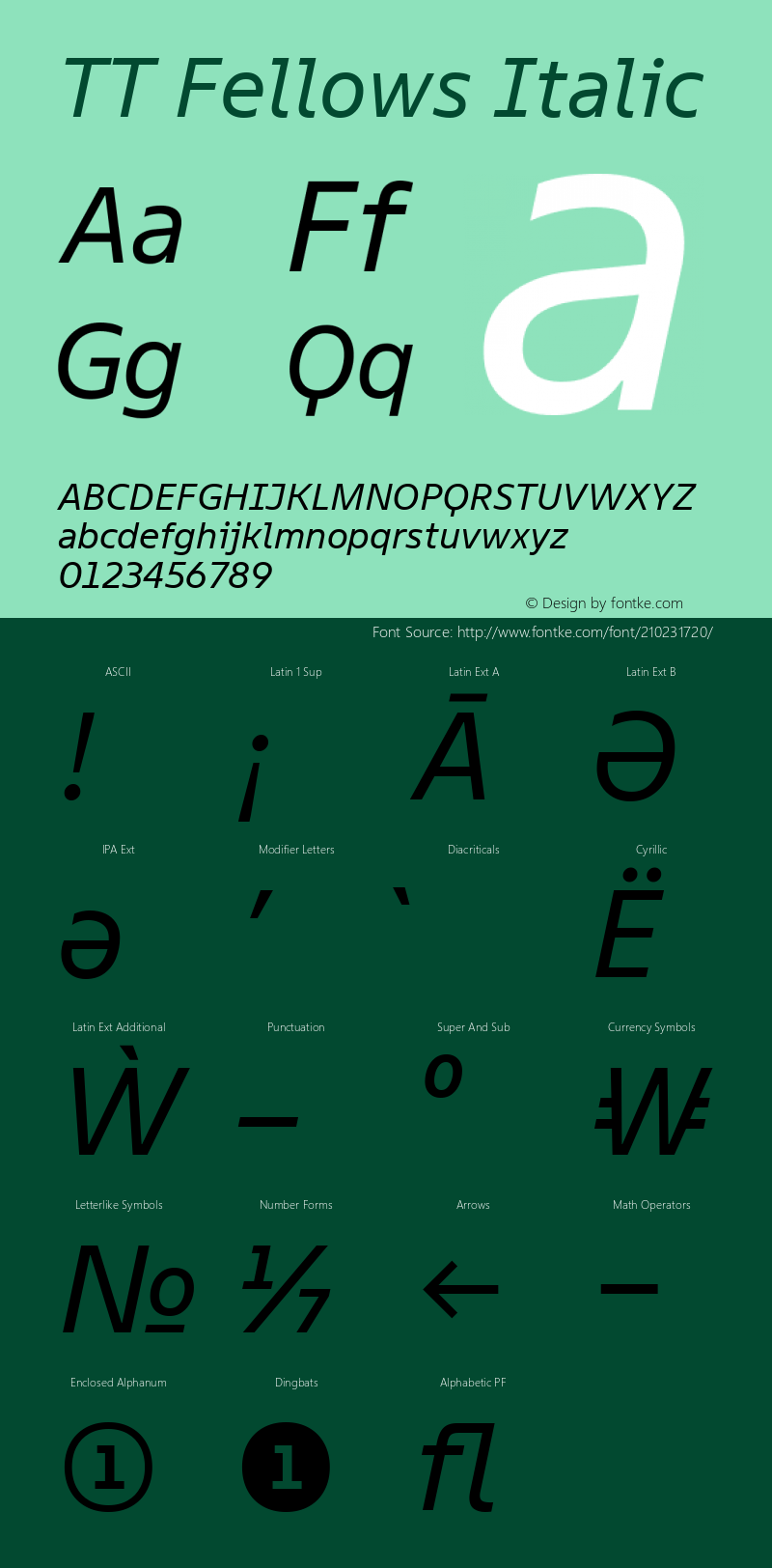 TT Fellows Italic Version 1.000.13122021图片样张