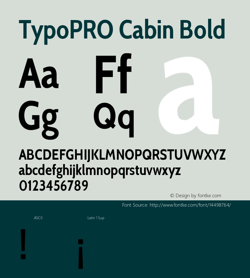 TypoPRO Cabin Bold Version 1.006图片样张