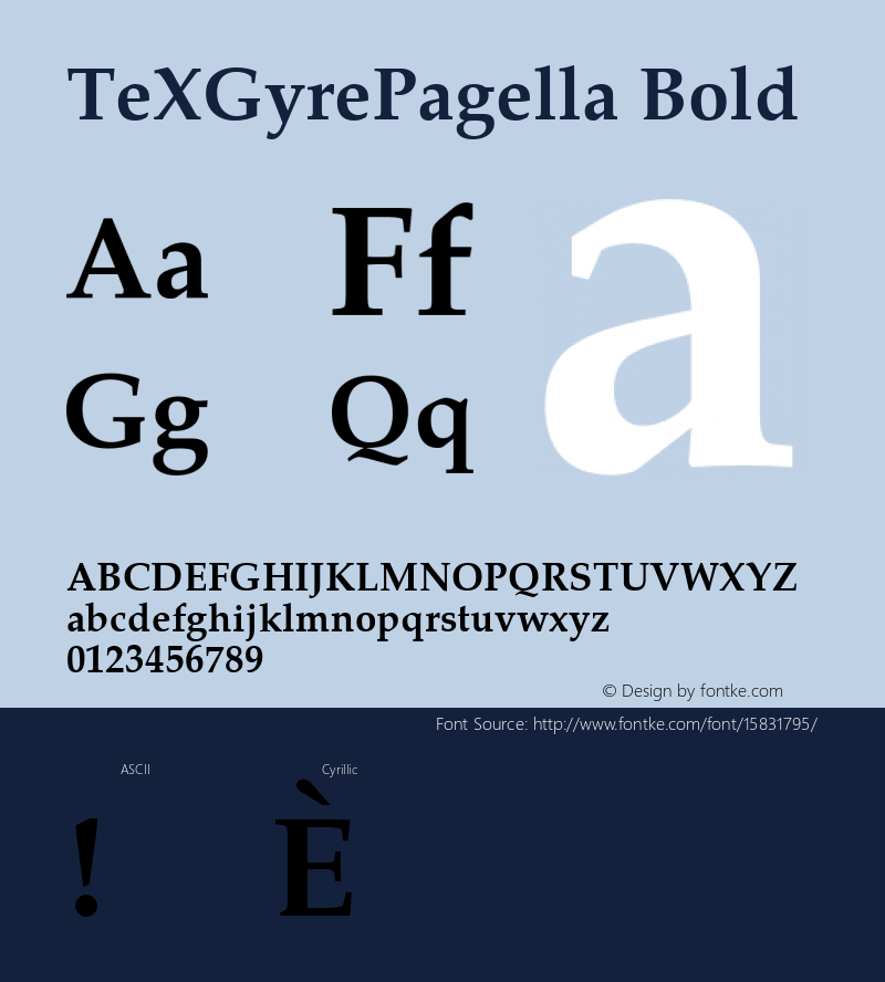 TeXGyrePagella Bold Version 1.103;PS 1.103;hotconv 1.0.49;makeotf.lib2.0.14853; ttfautohint (v1.4.1)图片样张