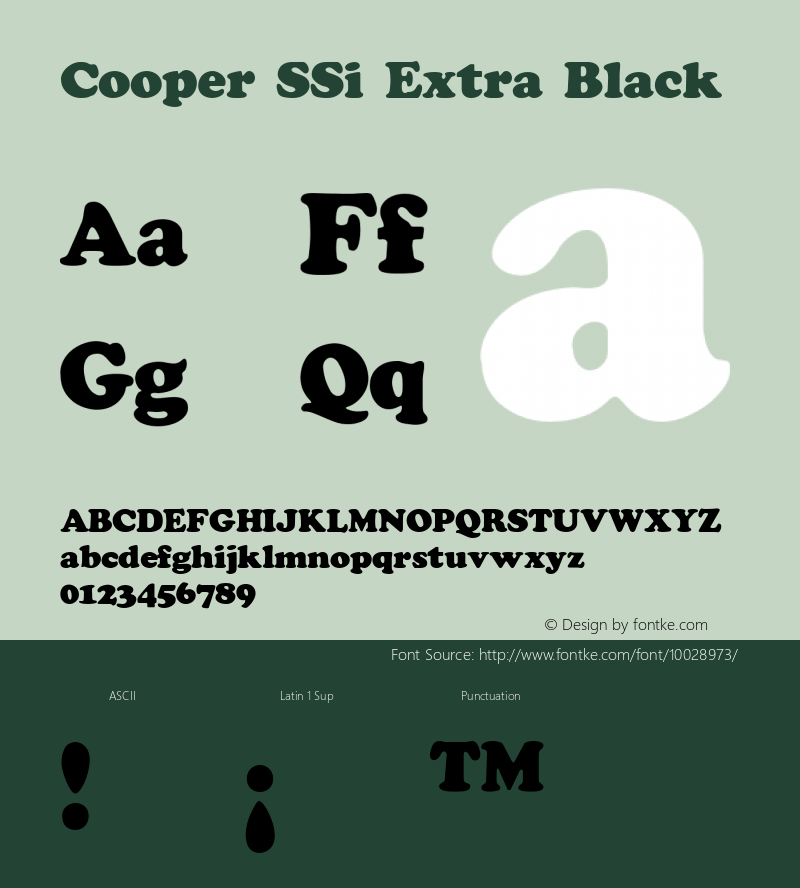 Cooper SSi Extra Black 1.000图片样张