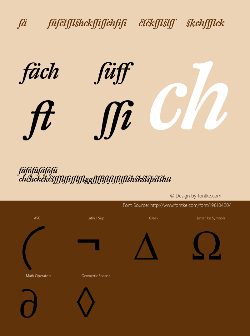 DTL Fleischmann T Medium Italic Alt Version 001.000图片样张