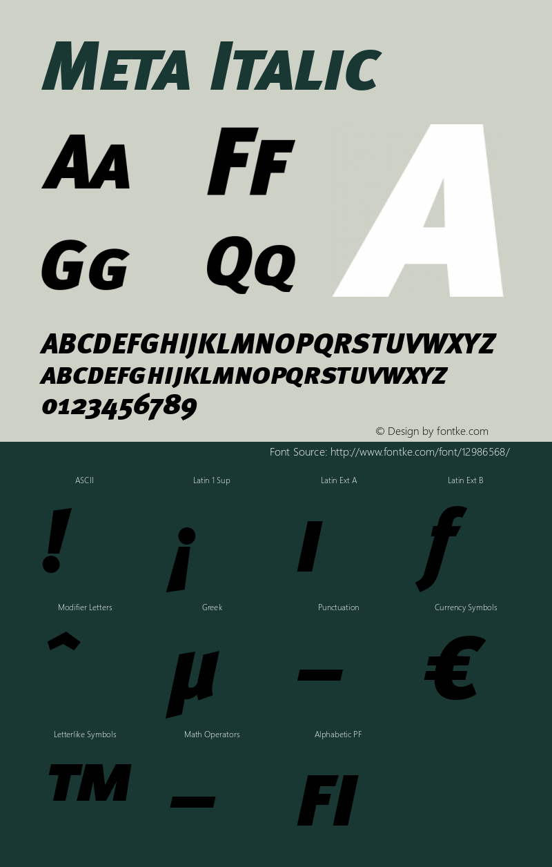 Meta Italic 004.301图片样张