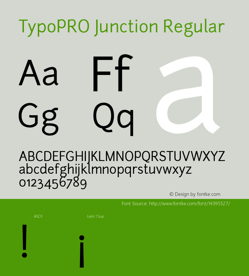TypoPRO Junction Regular Version 1.056图片样张