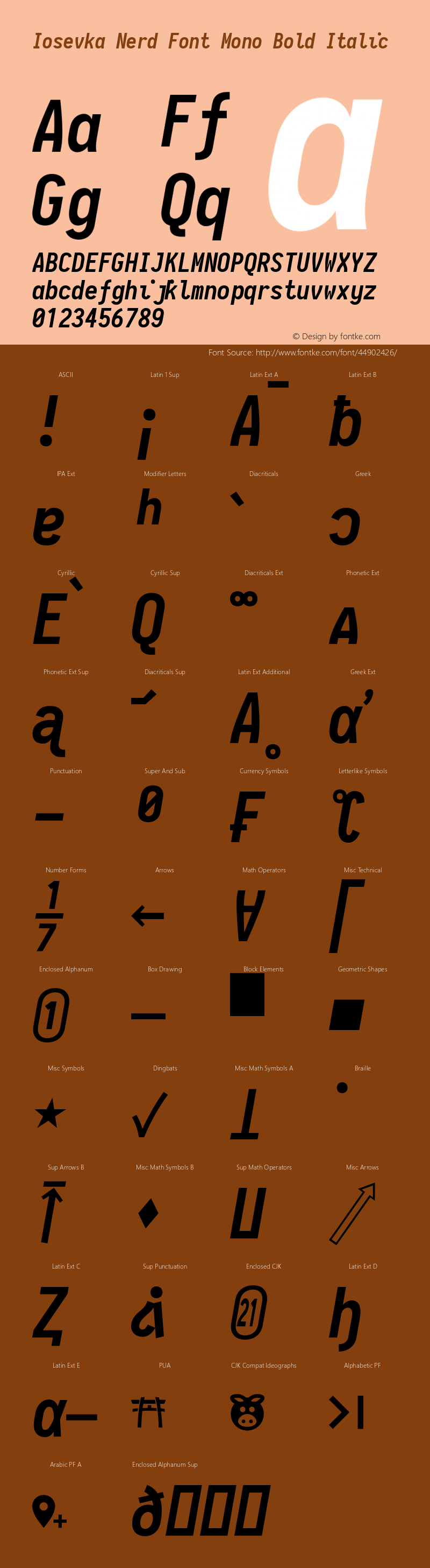 Iosevka Term Bold Italic Nerd Font Complete Mono 2.1.0; ttfautohint (v1.8.2)图片样张