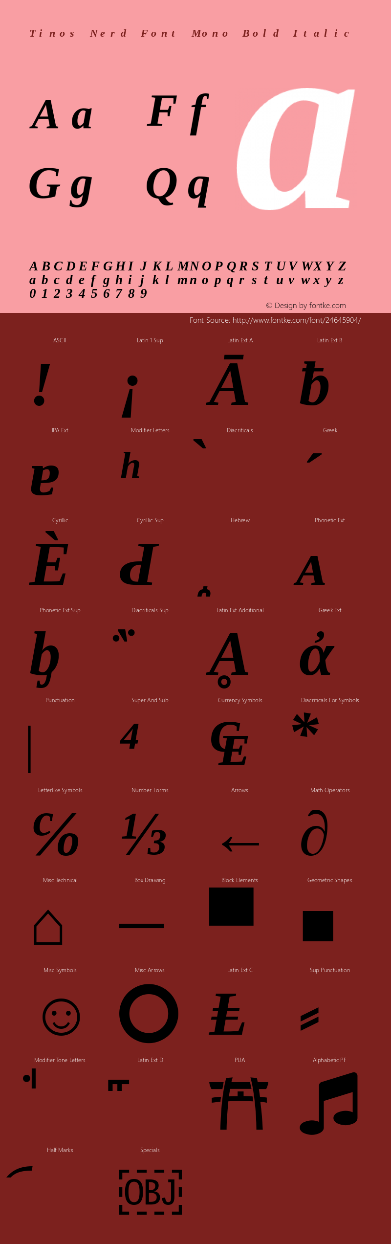 Tinos Bold Italic Nerd Font Complete Mono Version 1.23图片样张