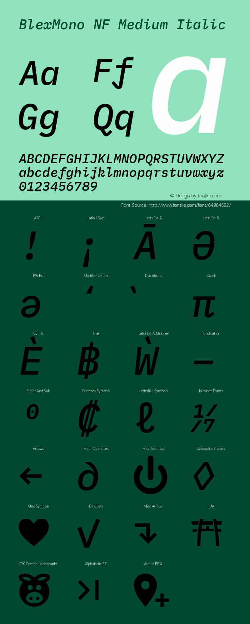 Blex Mono Medium Italic Nerd Font Complete Windows Compatible Version 2.000图片样张