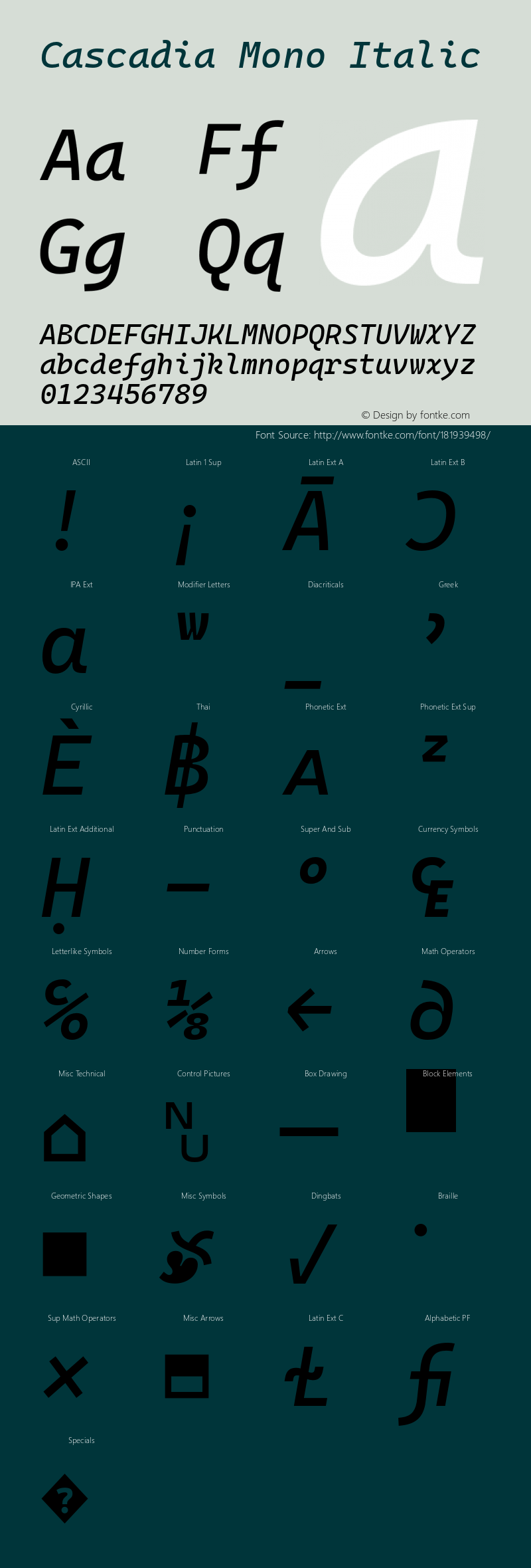 Cascadia Mono Italic Version 2110.031图片样张