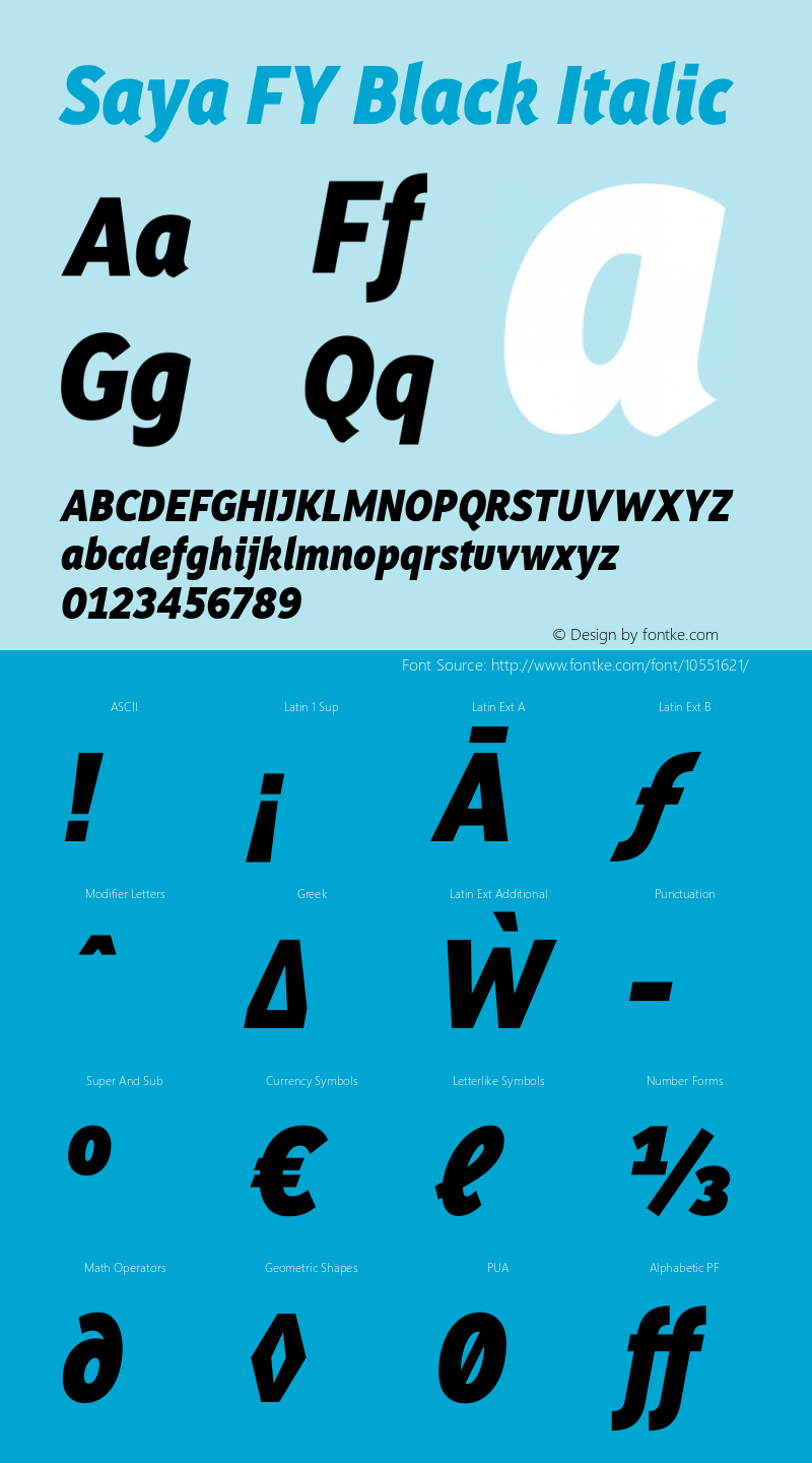 Saya FY Black Italic Version 1.001图片样张