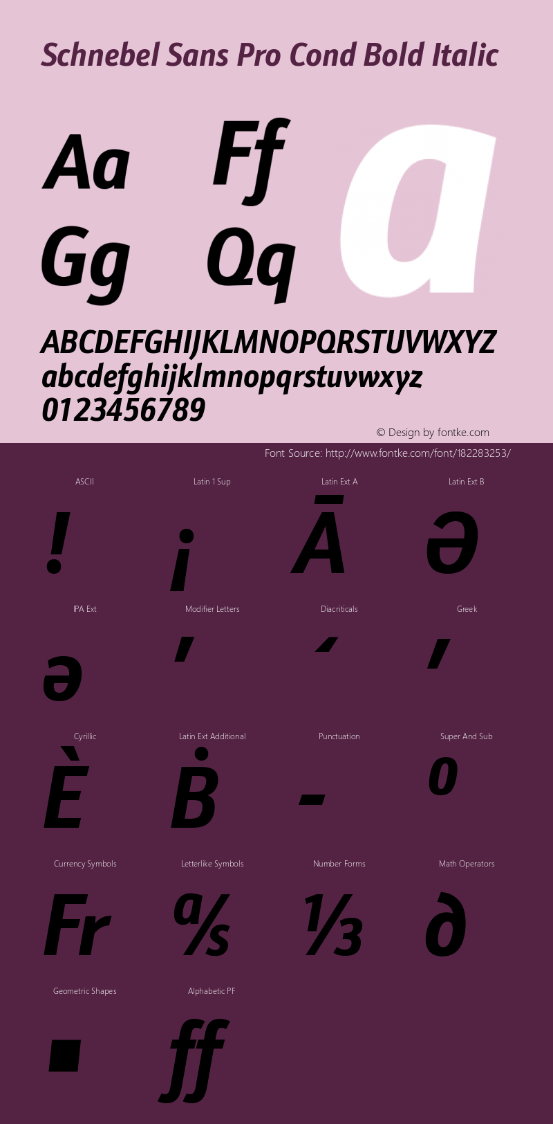 Schnebel Sans Pro Cond Bold Italic Version 1.00图片样张
