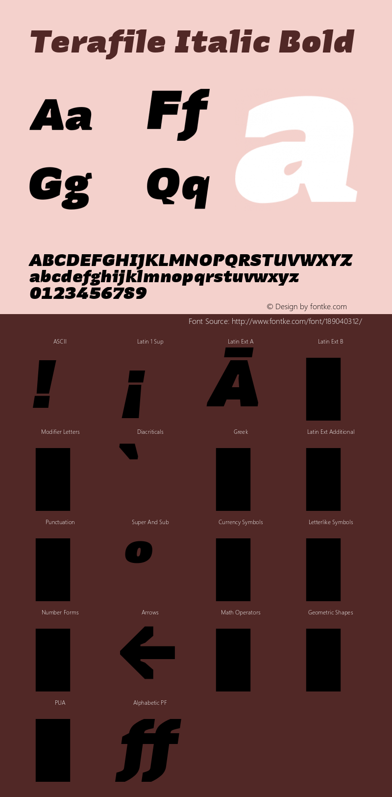 Terafile Italic Bold Version 1.000图片样张