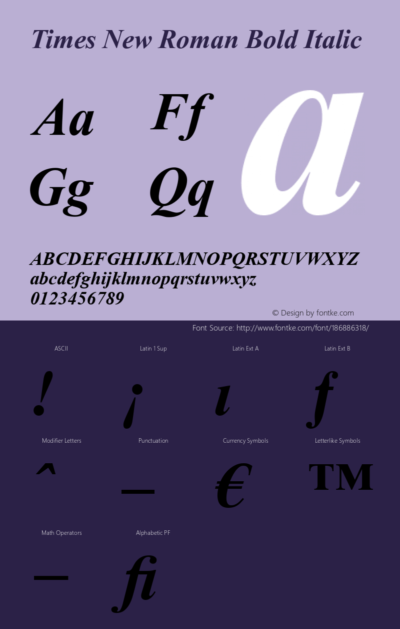 Times New Roman Bold Italic 001.004图片样张