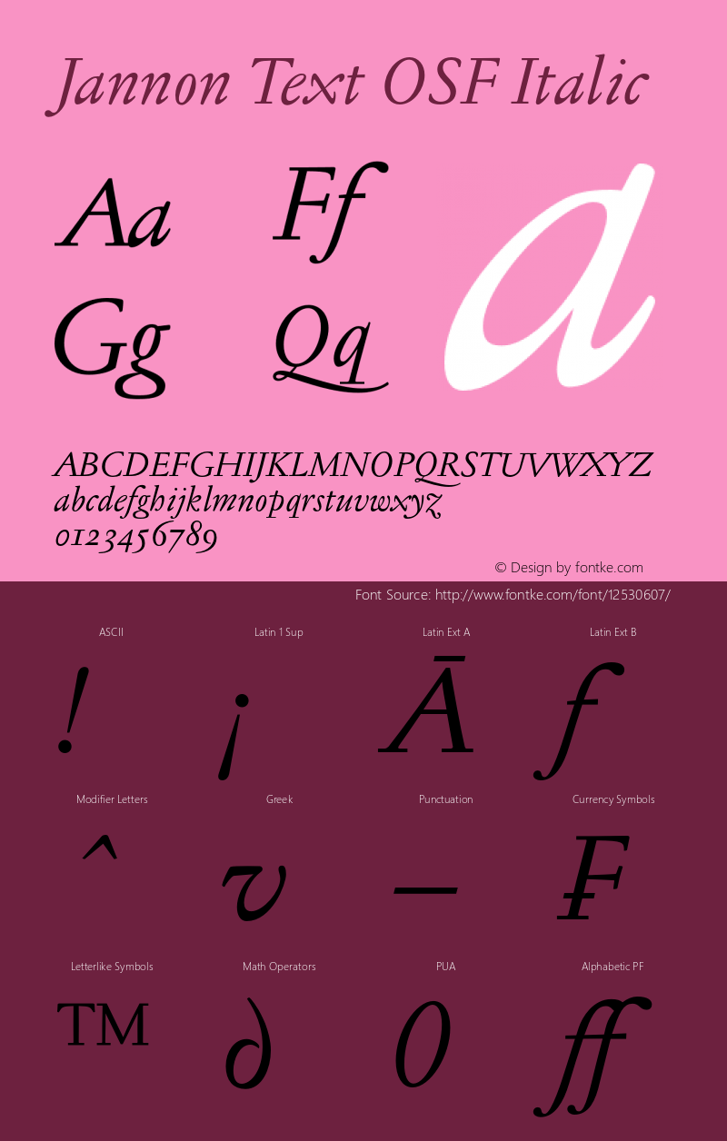 Jannon Text OSF Italic 001.000图片样张