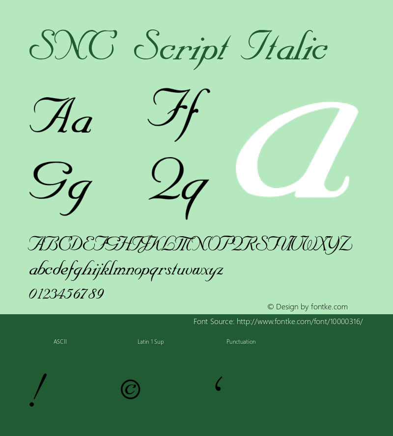 SNC Script Italic 1.02图片样张