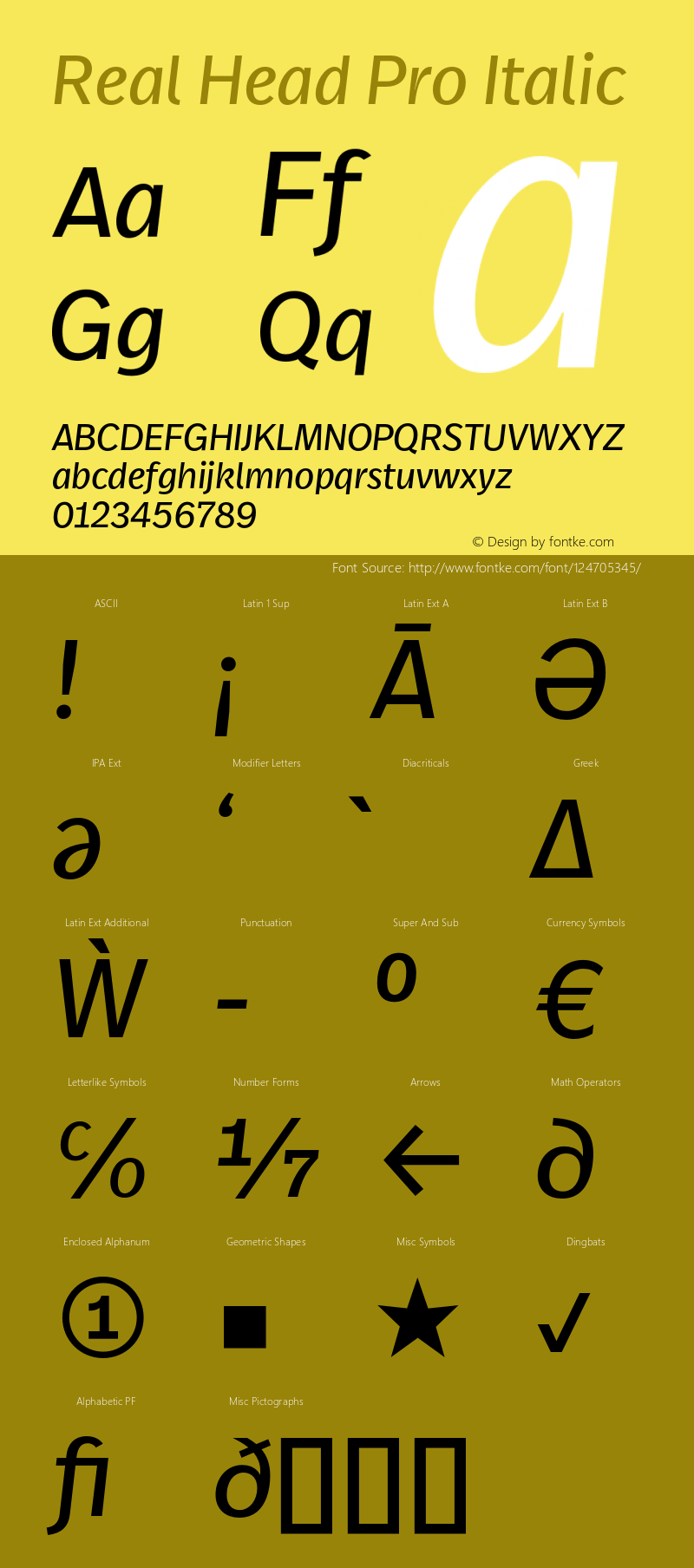 Real Head Pro Regular Italic Version 7.70图片样张