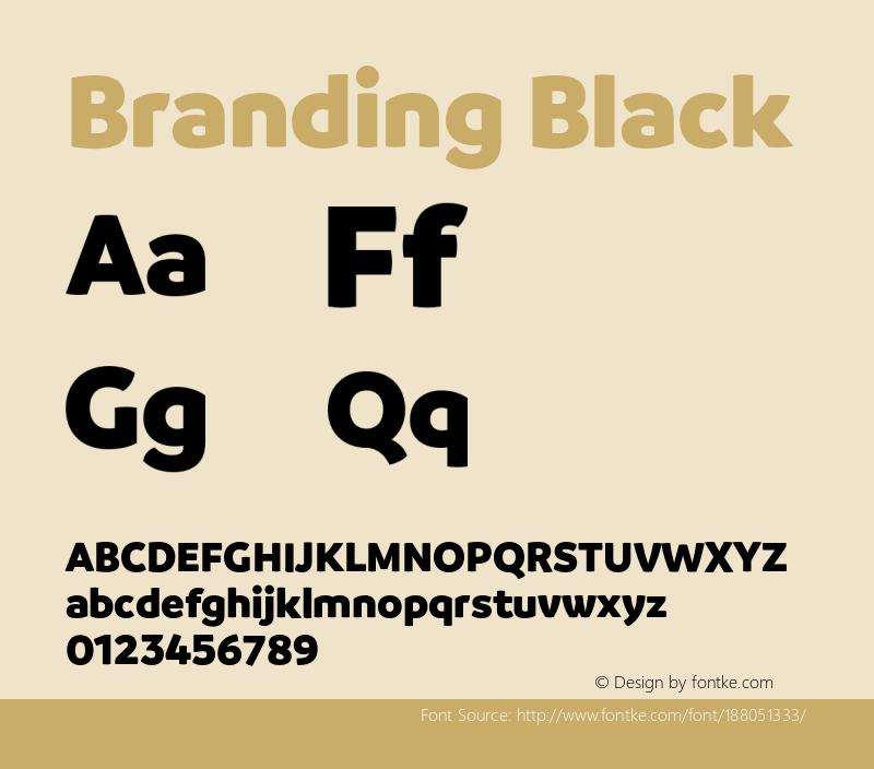 Branding-Black Version 1.000;PS 001.000;hotconv 1.0.88;makeotf.lib2.5.64775图片样张