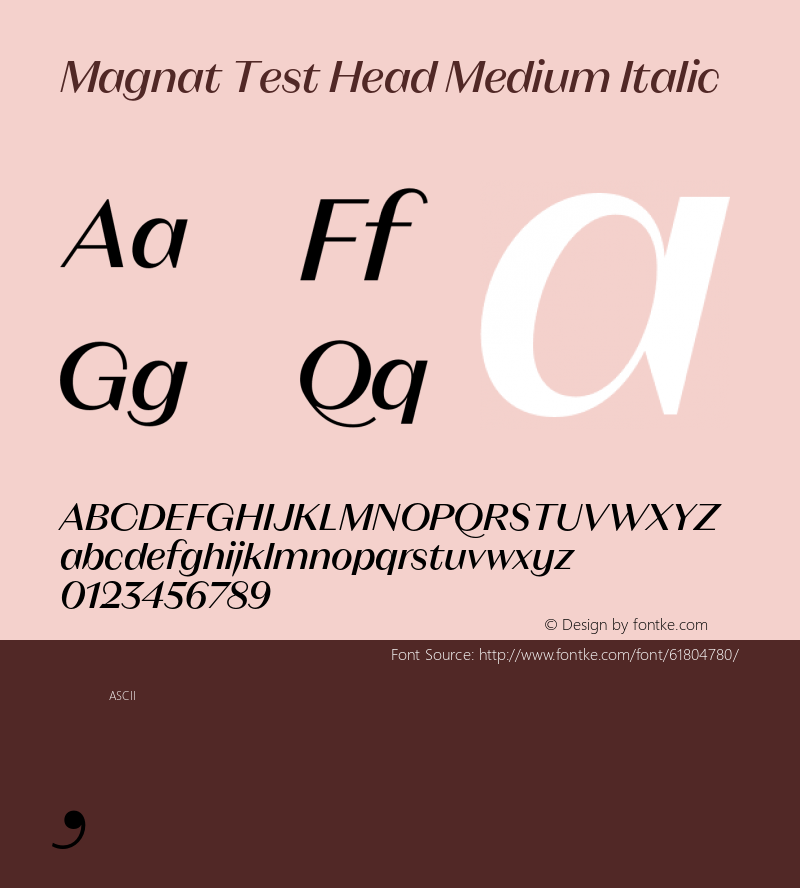 Magnat Test Head Medium Italic Version 1.000;PS 001.000;hotconv 1.0.88;makeotf.lib2.5.64775图片样张