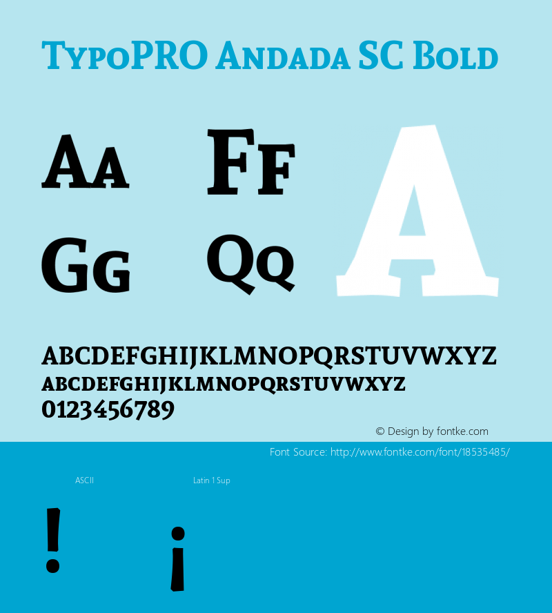 TypoPRO Andada SC Bold Version 1.003图片样张