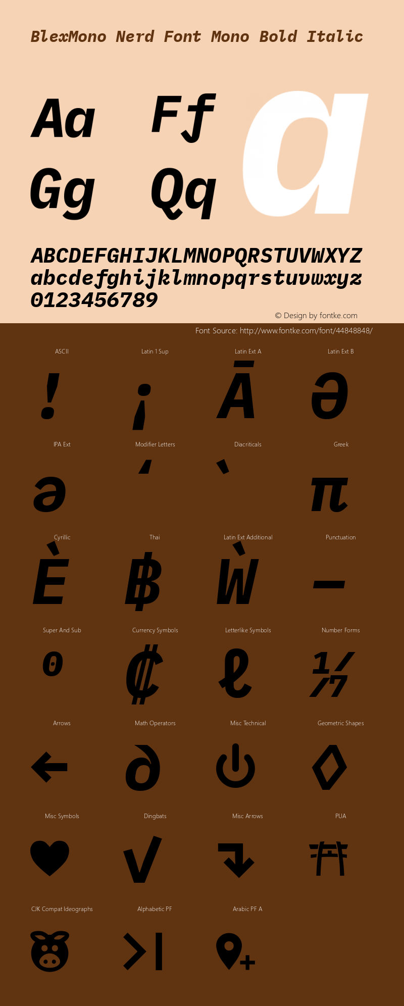 Blex Mono Bold Italic Nerd Font Complete Mono Version 2.000图片样张