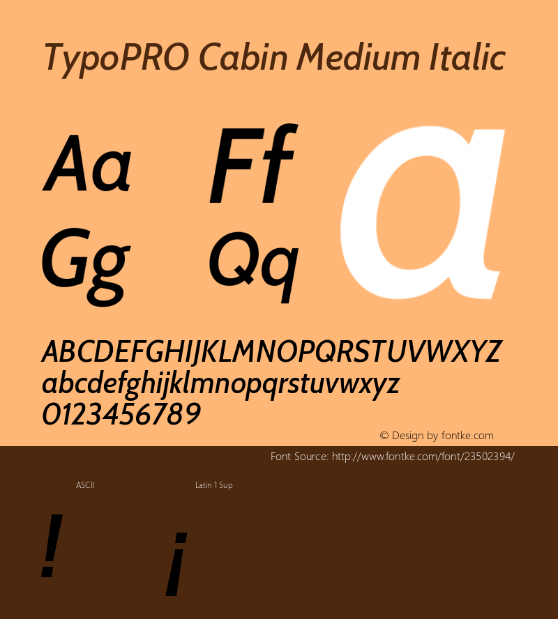 TypoPRO Cabin Medium Italic Version 2.200;PS 002.200;hotconv 1.0.88;makeotf.lib2.5.64775图片样张