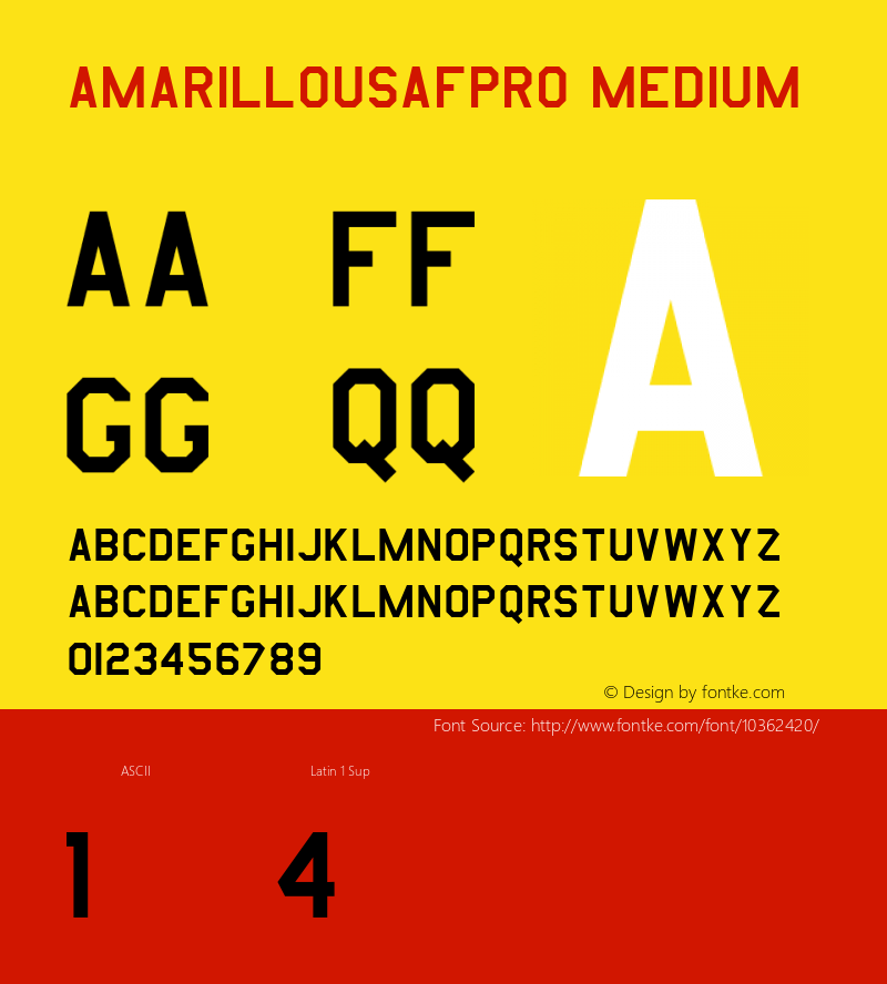 AmarilloUSAFPro Medium Version 1.0; 028-001D-20001108图片样张