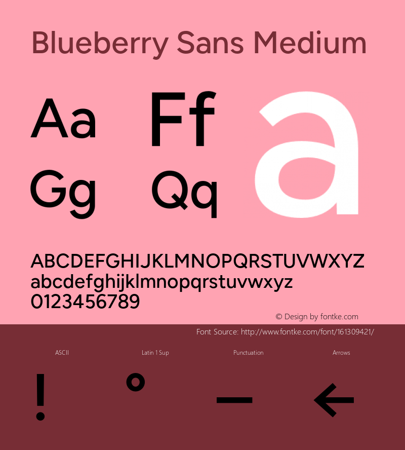 Blueberry Sans Medium Version 1.000;FEAKit 1.0图片样张