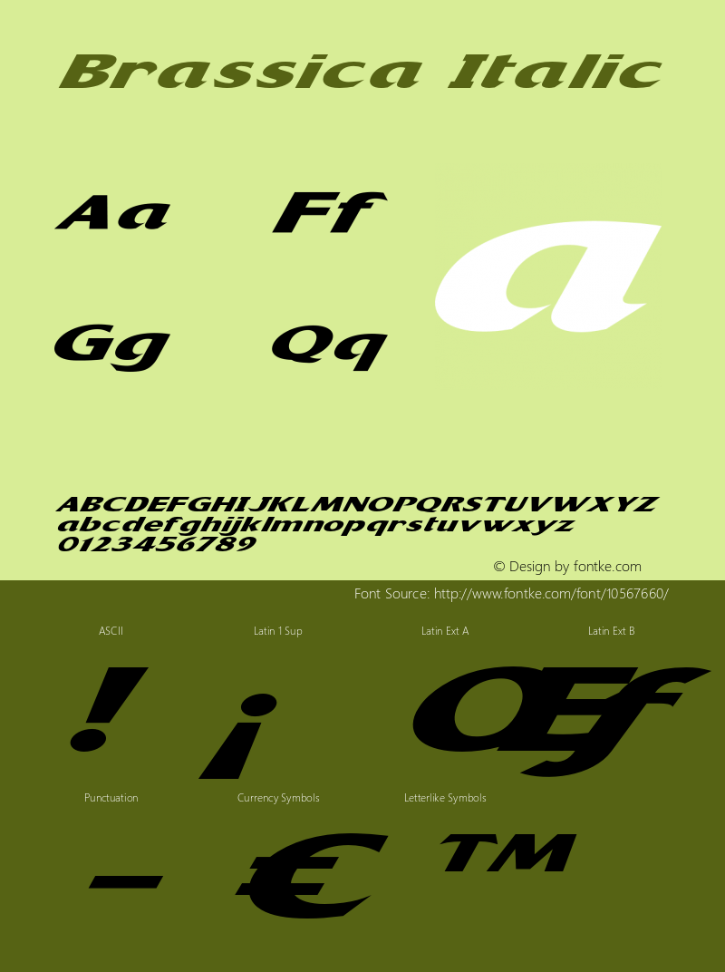 Brassica Italic Version 1.000图片样张